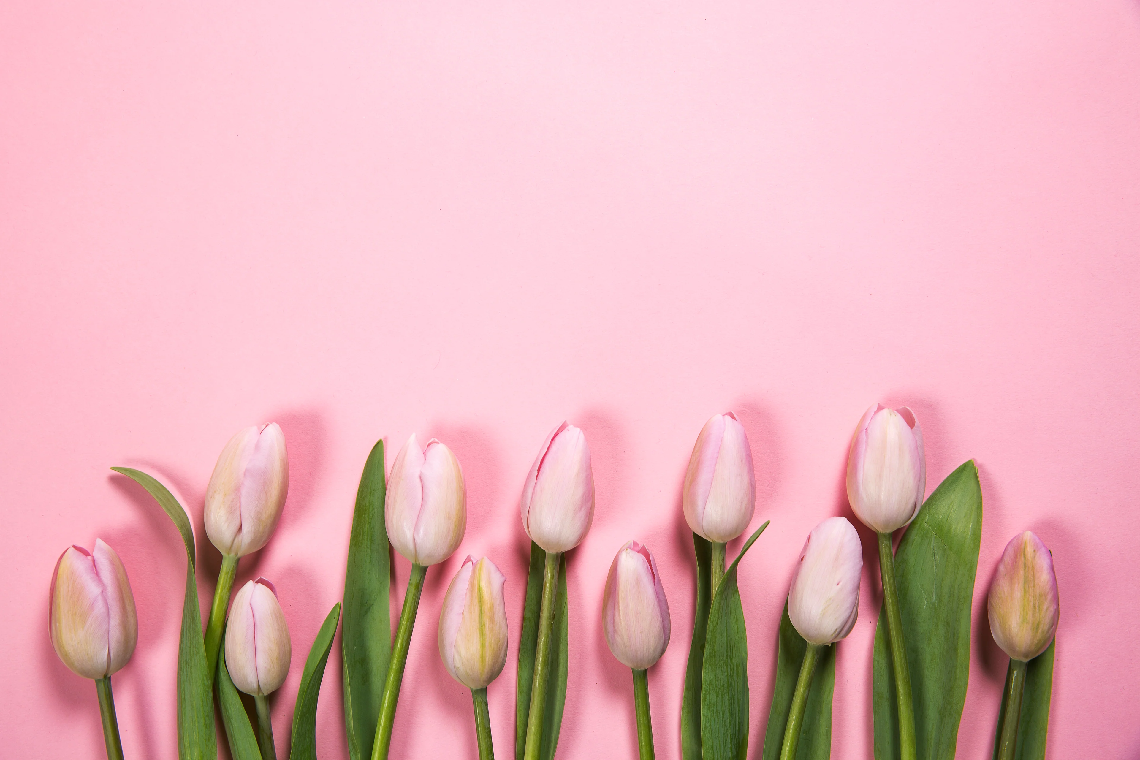 Freshness Delivered to Your Door